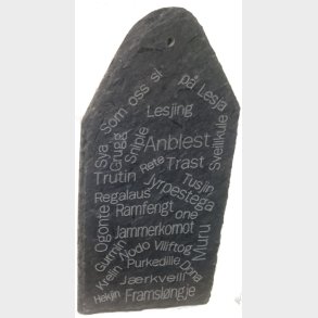 Dialekttavle, Lesjing